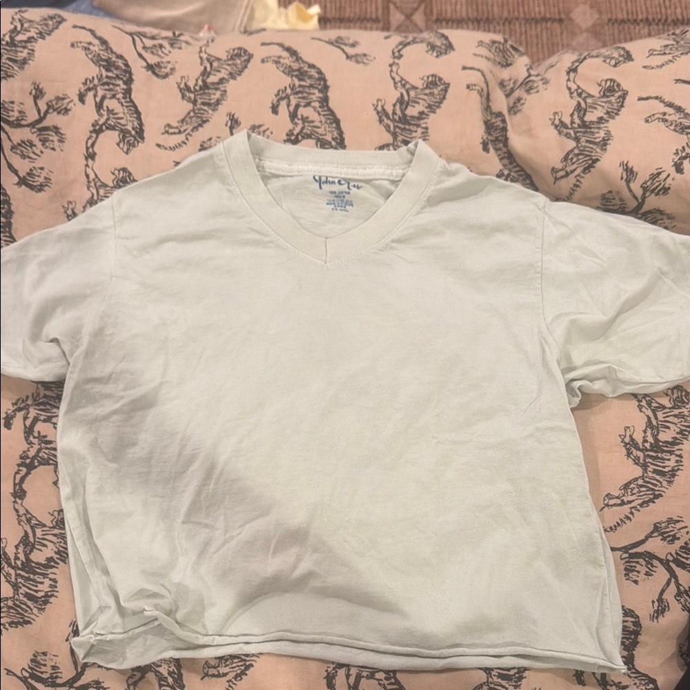 Brandy Melville Cropped Green Tee